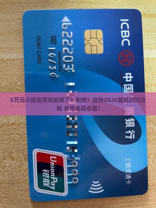 小额信用贷款5万元逾期