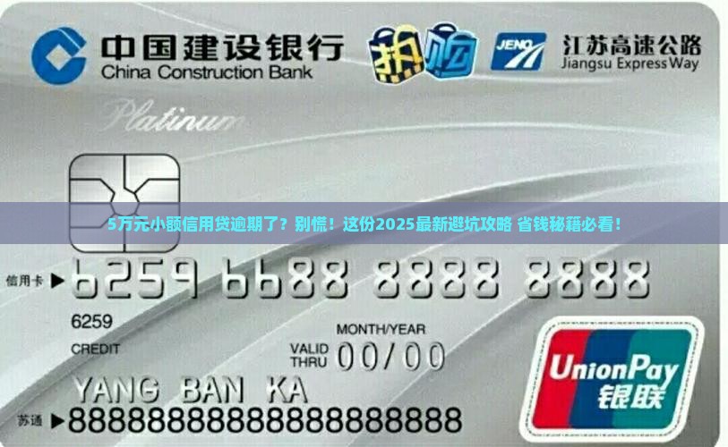 小额信用贷款5万元逾期