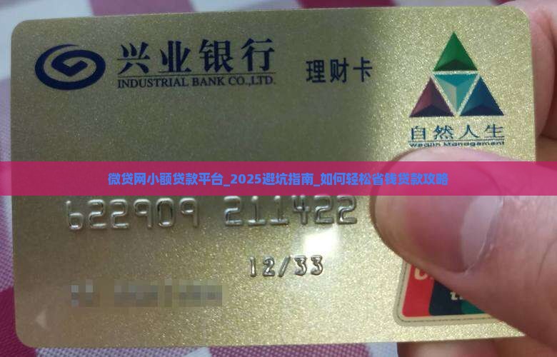 微贷网小额贷款平台