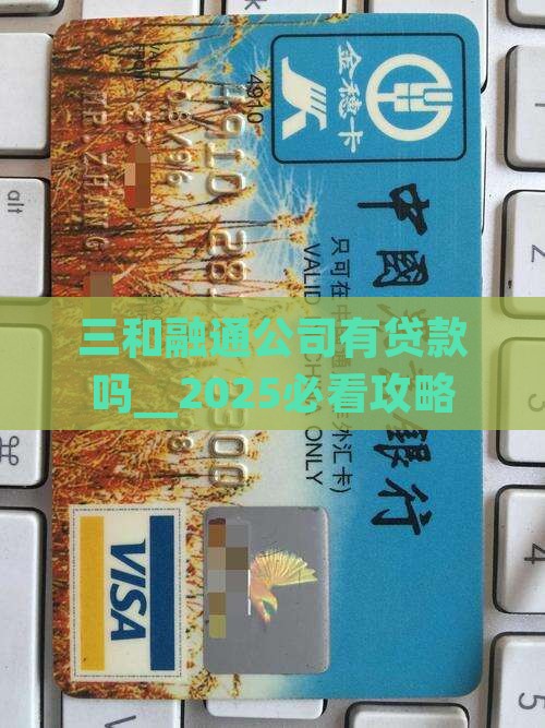 三和融通公司有贷款吗