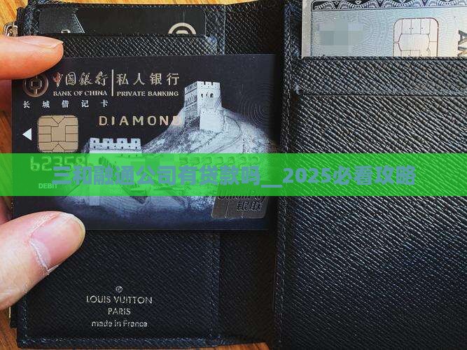三和融通公司有贷款吗