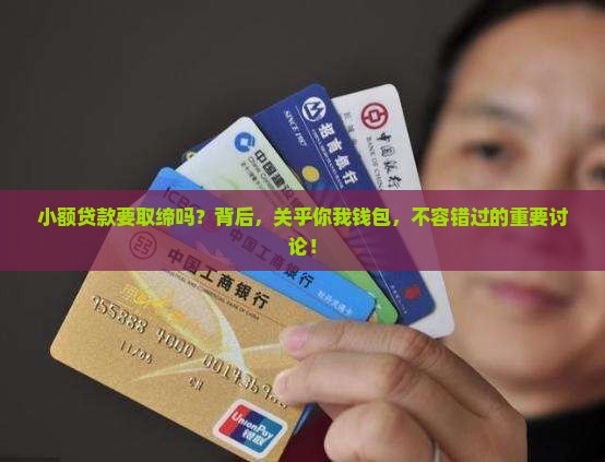 小额贷款要取缔吗
