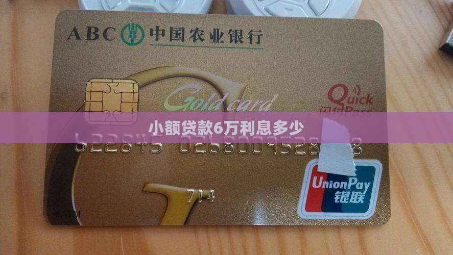 小额贷款6万利息是多少