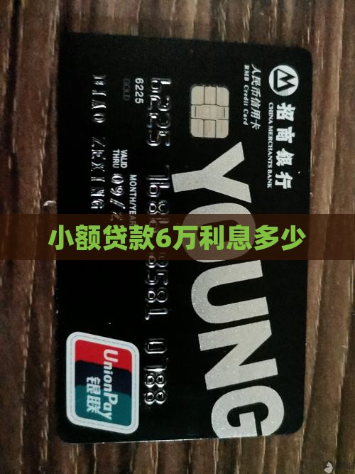 小额贷款6万利息是多少