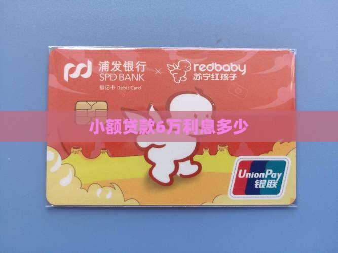 小额贷款6万利息是多少