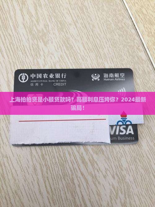 上海拍拍贷是小额贷款吗