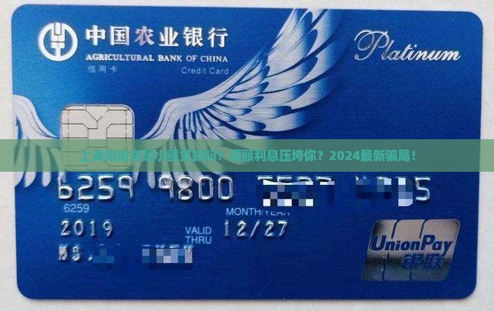 上海拍拍贷是小额贷款吗