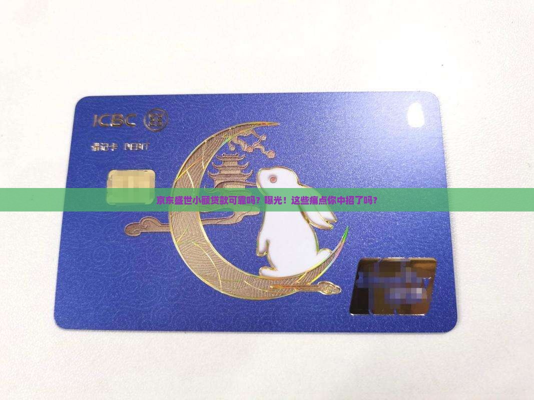 京东盛世小额贷款可靠吗