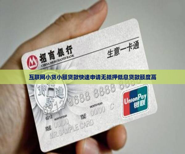 互联网小贷小额贷款
