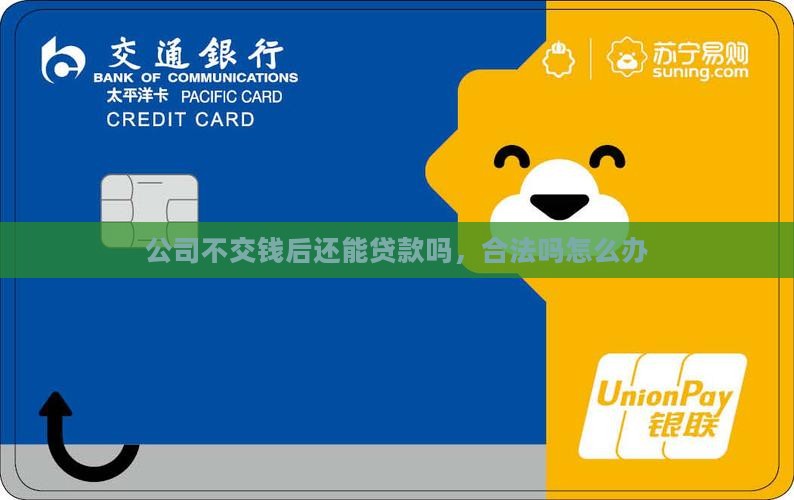 公司不交钱后还能贷款吗