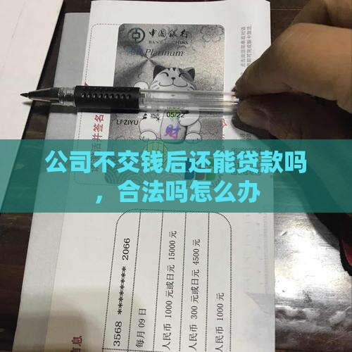 公司不交钱后还能贷款吗