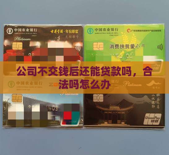 公司不交钱后还能贷款吗