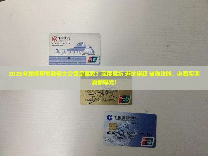 全球抵押贷款最大的公司