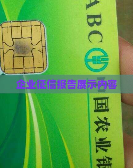 征信企业贷款显示什么内容