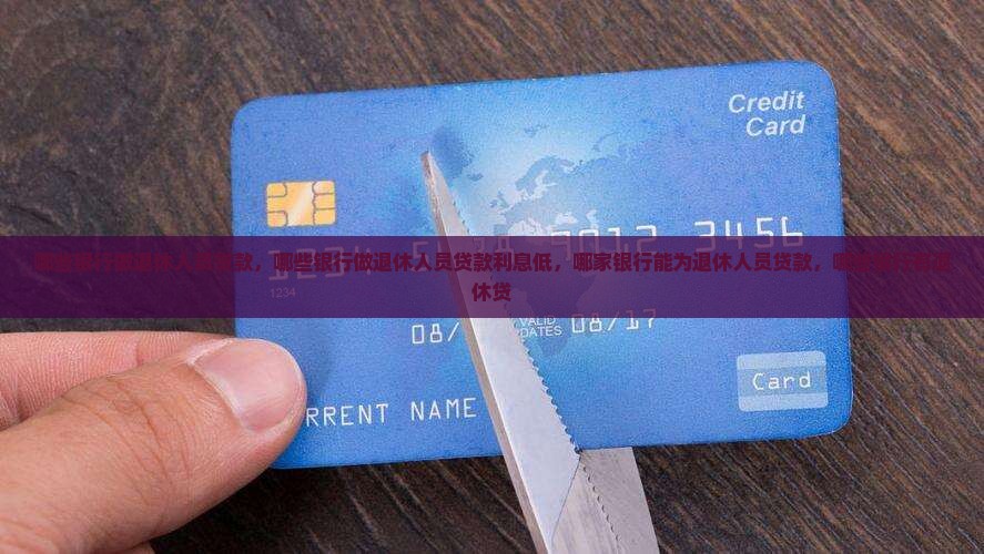 哪些银行做退休人员贷款