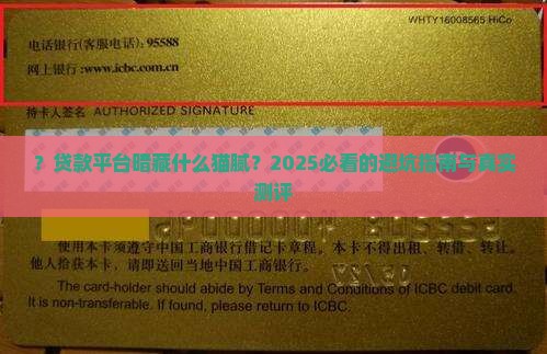 信用飞一样的贷款平台
