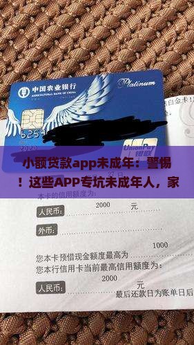 小额贷款app未成年