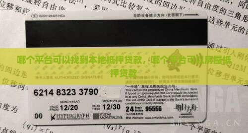哪个平台可以找到本地抵押贷款