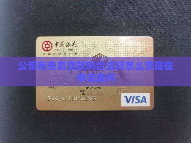 公司有免息贷款吗