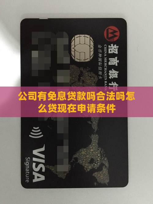 公司有免息贷款吗