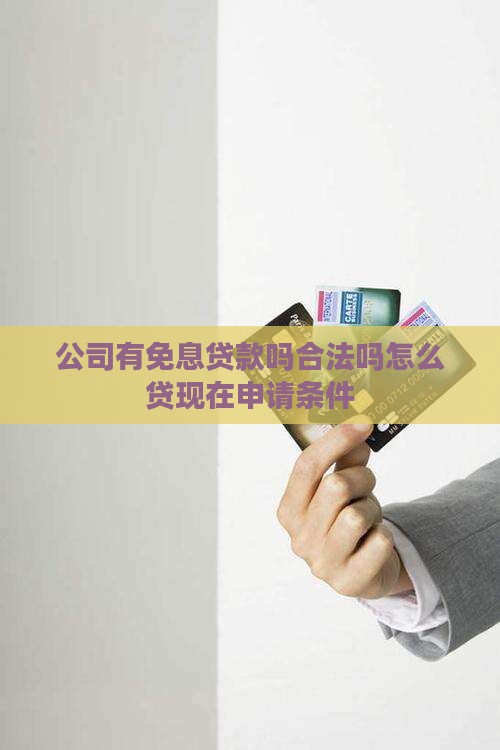 公司有免息贷款吗