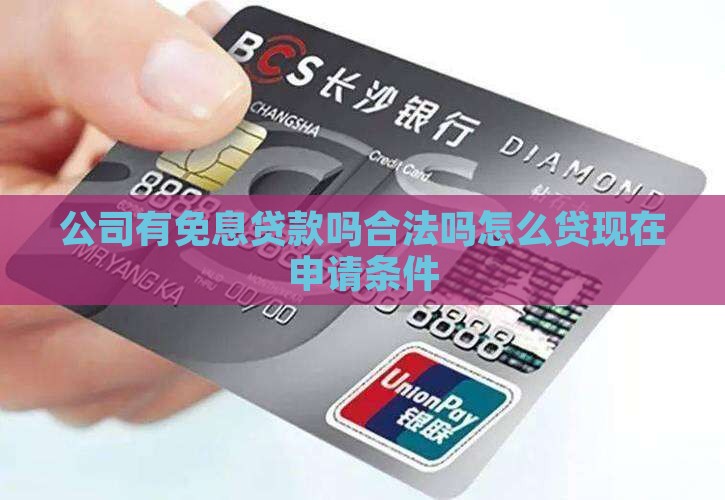 公司有免息贷款吗