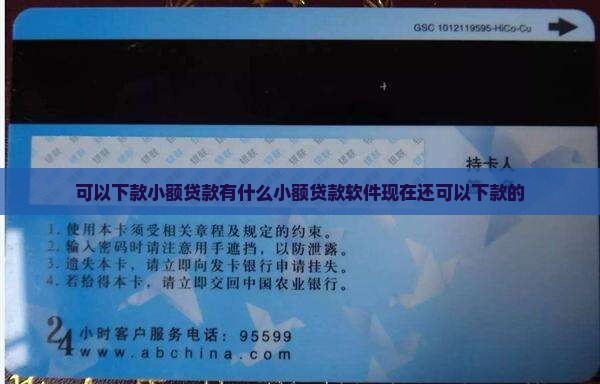 可以下款小额贷款