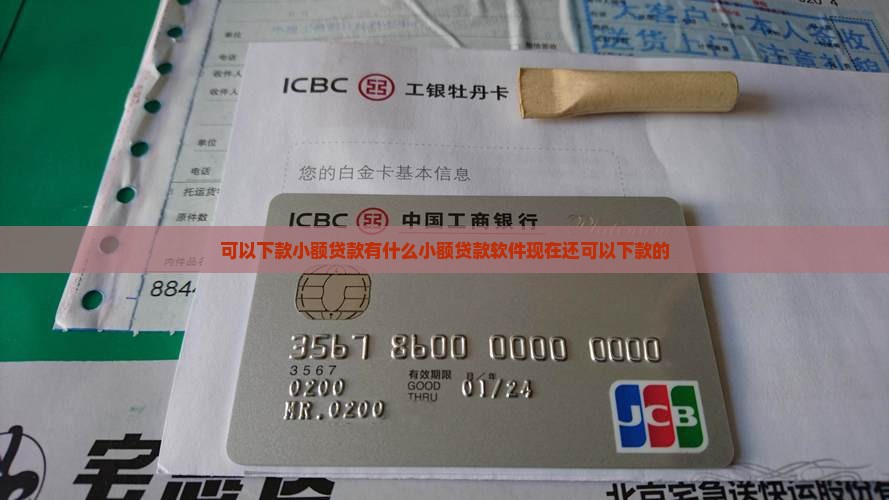 可以下款小额贷款
