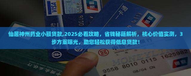 仙居神州药业小额贷款
