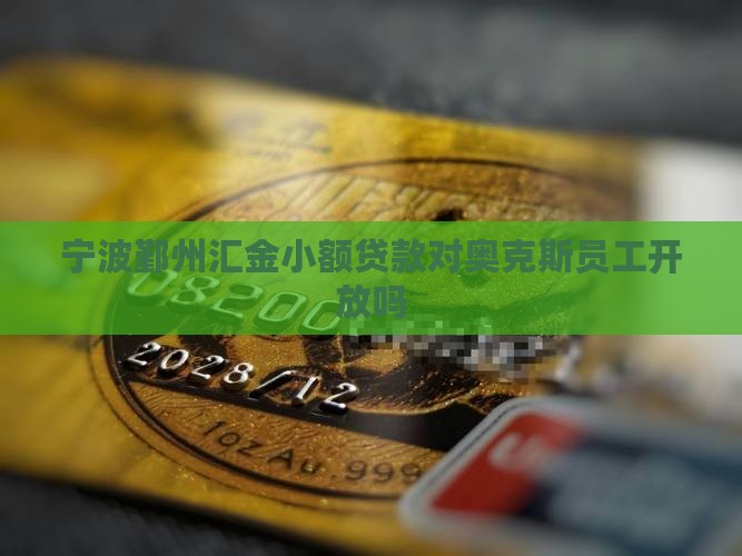 宁波鄞州汇金小额贷款