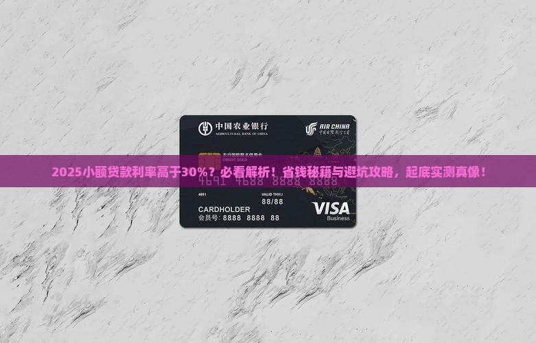 小额贷款利率高于30