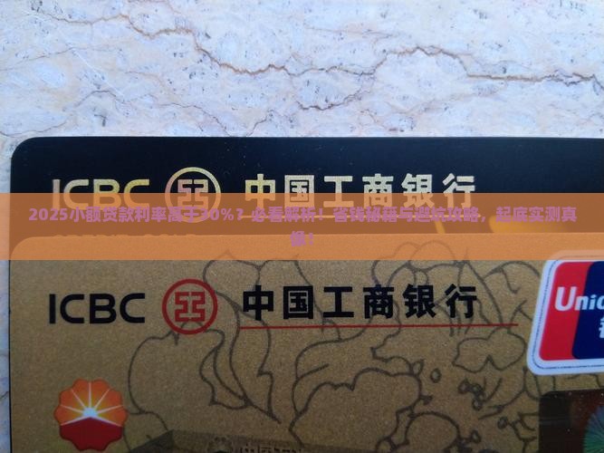 小额贷款利率高于30