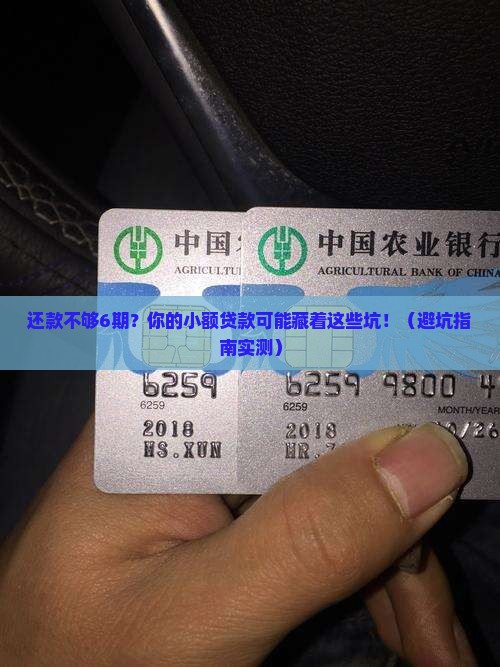 小额贷款还款不够6期