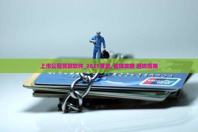 上市公司贷款软件