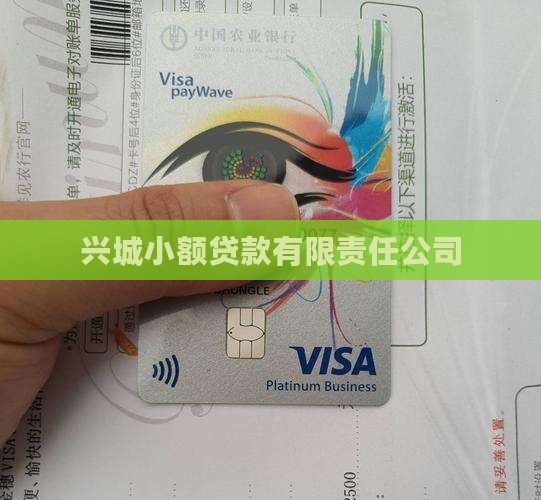 兴城小额贷款