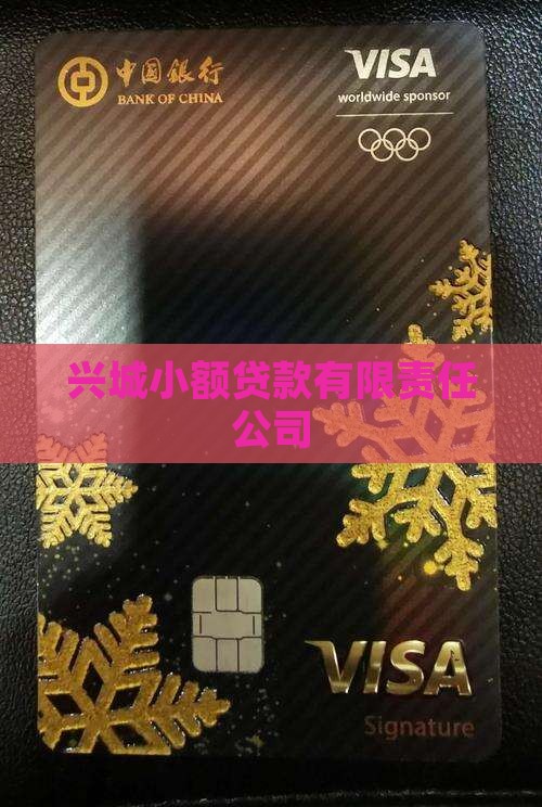 兴城小额贷款