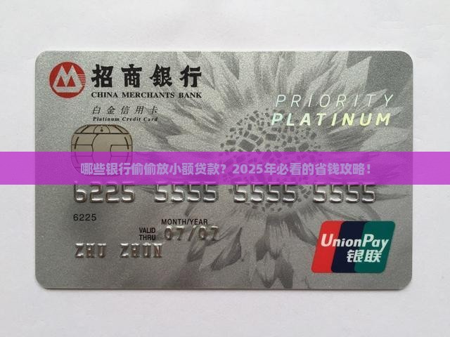 什么银行有小额贷款业务