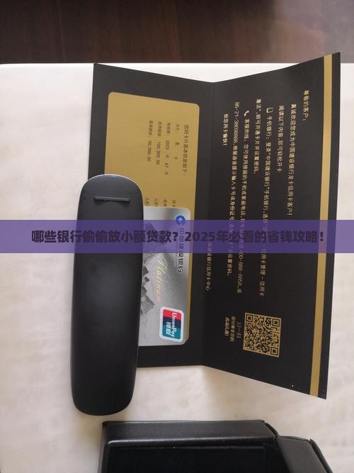 什么银行有小额贷款业务