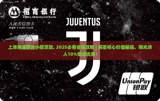 上海黄浦联合小额贷款