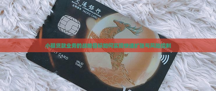 小额贷款业务的战略目标