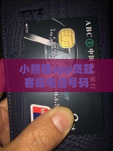 小熊猫app贷款客服手机号