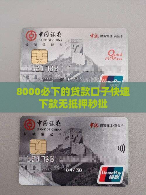 8000必下的贷款口子