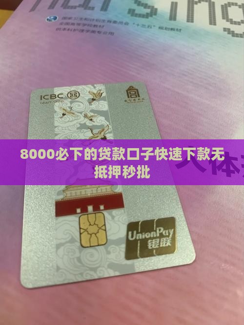 8000必下的贷款口子