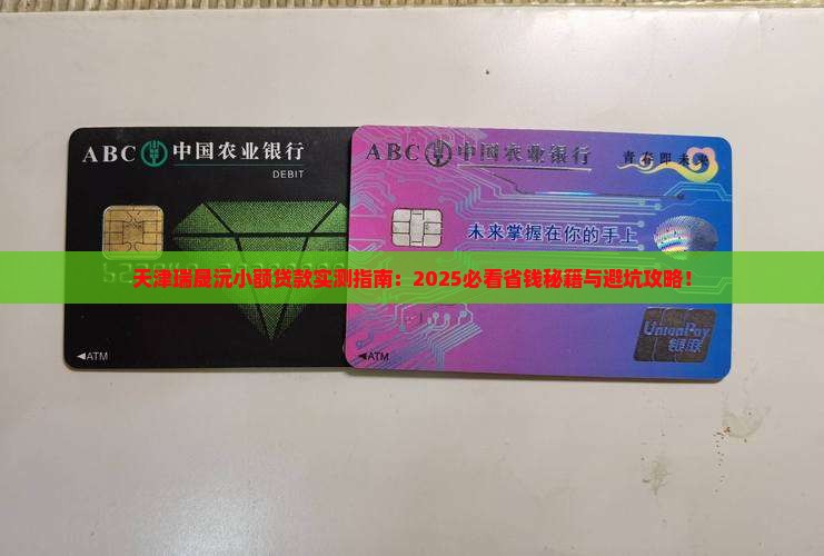天津瑞晟沅小额贷款