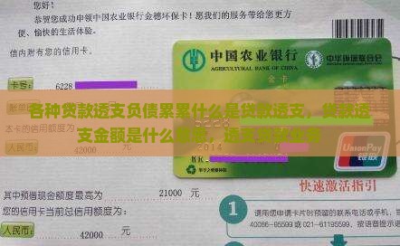 各种贷款透支负债累累