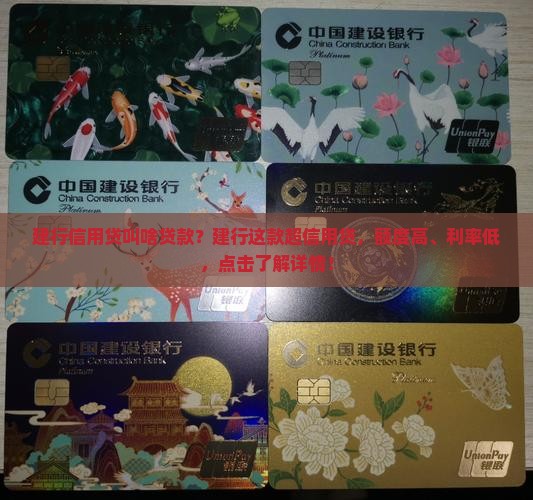 建行信用贷叫啥贷款