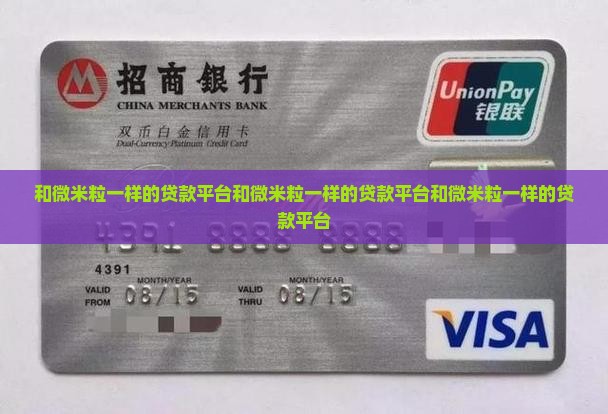 和微米粒一样的贷款平台
