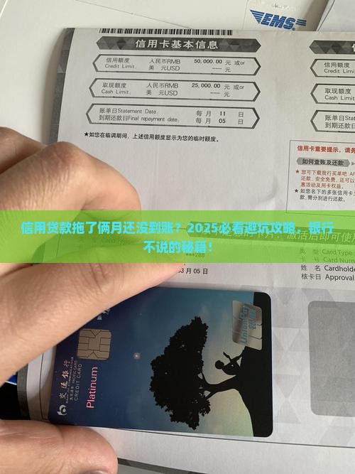 信用贷款2个月还没批款