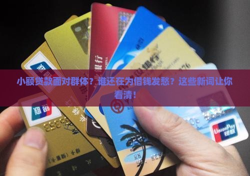 小额贷款面对群体