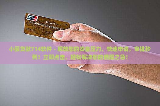 小额贷款714软件